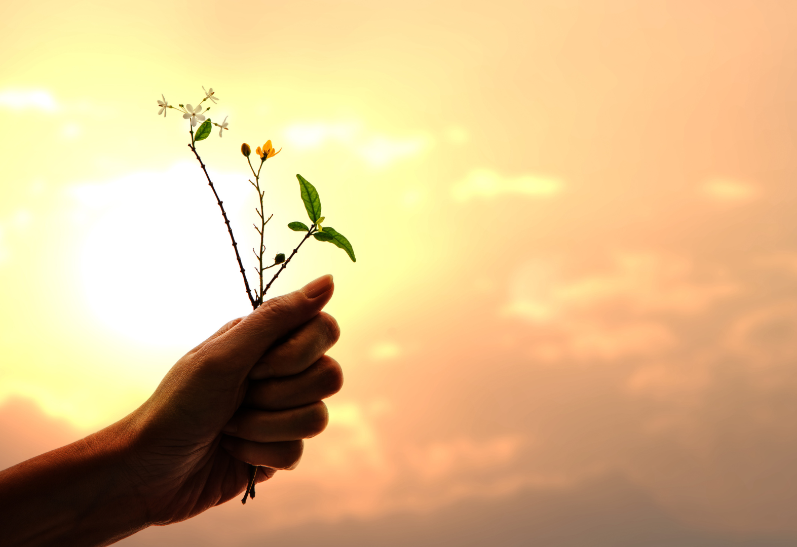 How to Practice Gratitude Daily: Cultivating a Positive Mindset