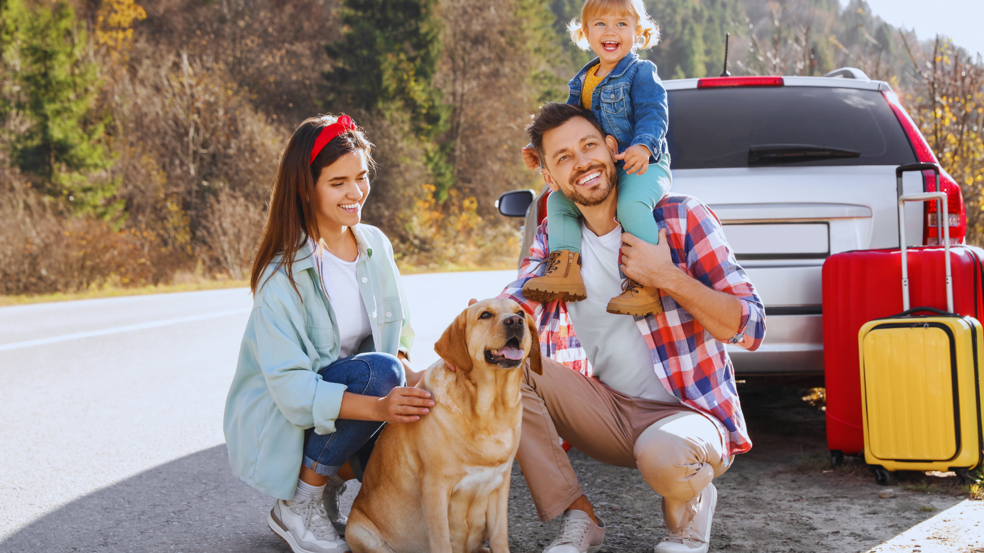 Tips for Traveling with a Dog: Essential Advice for a Smooth Journey